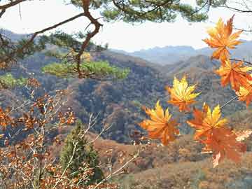 成都垫资结清,轻松实现住房贷款转换_Flymev875.5102